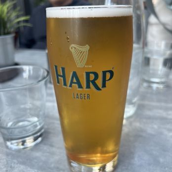 Dublin Crossing - Harp on tap - Irish Pub Near Me - Vancouver, British Columbia