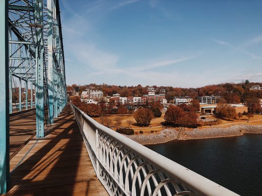 Walnut Street Bridge by null
