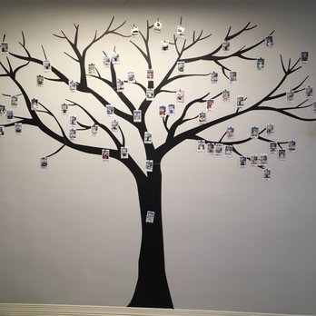 Buena Vista Pediatric Dentistry - Our patient tree - Pediatric Dentists Near Me - Oceanside, California Buena Vista Pediatric Dentistry - Our patient tree - Pediatric Dentists Near Me - Oceanside, California