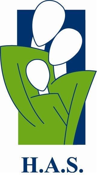 Healthcare Alternative Systems - grief counselor in Chicago, IL