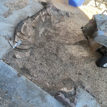 Al’s Tree Care - Done! - Tree Services Near Me