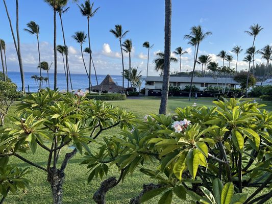 Napili Shores Maui by Outrigger by null