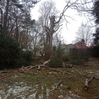 Spencer's Tree Service - Tree Services Near Me Spencer's Tree Service - Tree Services Near Me