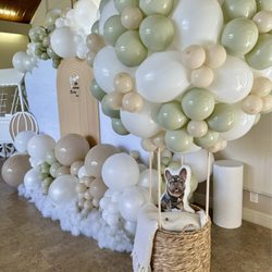 My Elephant Dream - Neutral Hot air balloon theme