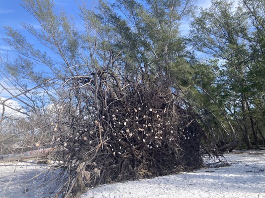 Happy Paddler Kayak Tours & EcoVentures by null