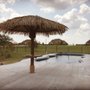Photo of My Thatch Roof