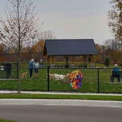 Pitchford Park - Happy Dogs Running & Playing in Pitchford Dog Park on Wednesday 10/23/2024