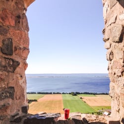 Brahehus - sojalatte med utsikt, augusti 2015