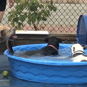 Jackson Bark - Dog Parks Near Me - Chicago, Illinois