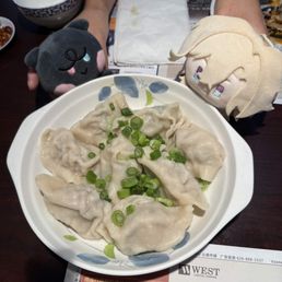 chive & pork dumplings chive & pork dumplings