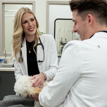 GoodVets Paradise Valley - Veterinarians Near Me - Phoenix, Arizona GoodVets Paradise Valley - Veterinarians Near Me - Phoenix, Arizona