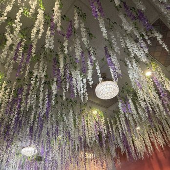 Gahwa Café - Love the flowers on the ceiling - Coffee & Tea Near Me - Jacksonville, Florida Gahwa Café - Love the flowers on the ceiling - Coffee & Tea Near Me - Jacksonville, Florida