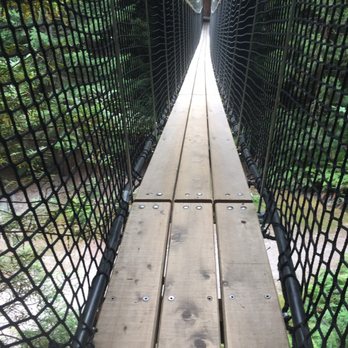 Redwoods Treewalk & Nightlights - Parks Near Me - Rotorua, BOP