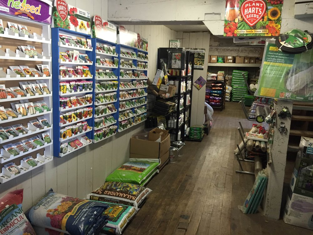 EASTHAMPTON FEED Updated May 2024 18 Mechanic St, Easthampton