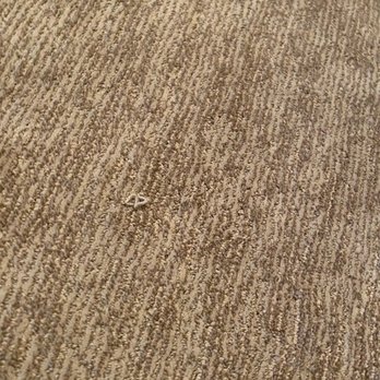 Mouery's Flooring - Carpeting Near Me - Springfield, Missouri