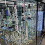 Photo of Area 51 Smoke Shop & CBD