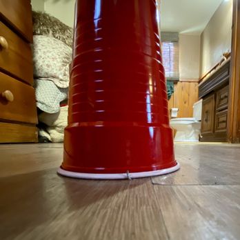 Grey Squirrel Resort & Vacation Rental Homes - Can you see the nail I used the cup for size comparison - Big Bear Lake, CA