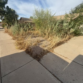 Jesus Landscaping - Weed removal, call us for a free estimate - Landscaping Near Me