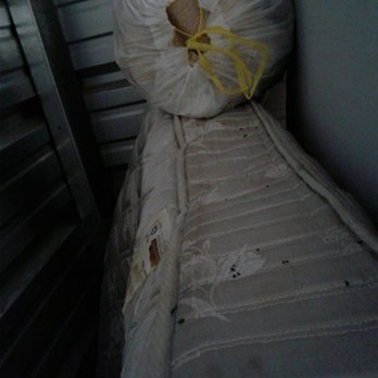 Daffodil Storage - The mice ruined my mattresses by ripping holes in it and leaving urine and dropping on it that let the mattresses soaked - Self Storage Near Me - Tacoma, Washington