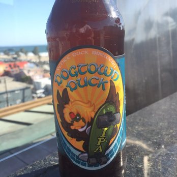 High Rooftop Lounge - Dogtown IPA. $9 - Lounges Near Me - Venice, California