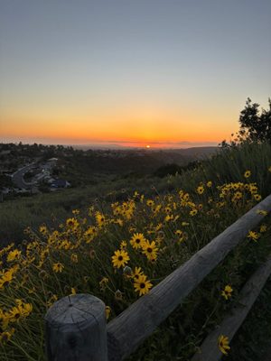 Cowles Mountain by null