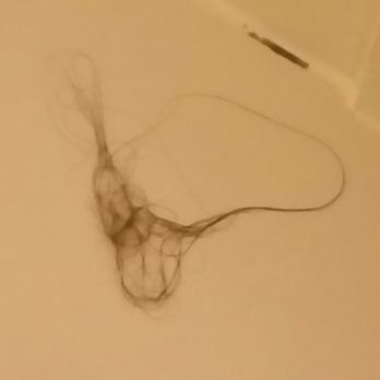 Crystal Mountain - Past guest left a present!! Thanks for cleaning crystal mountain. - Hotels Near Me - Thompsonville, Michigan