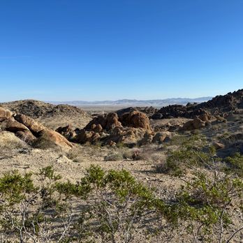 Fortynine Palms Oasis - Hiking Near Me - Twentynine Palms, California