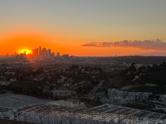Ascot Hills Park by null