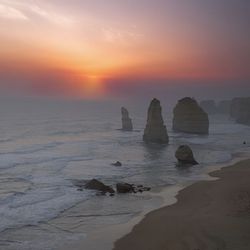 Bunyip Tours