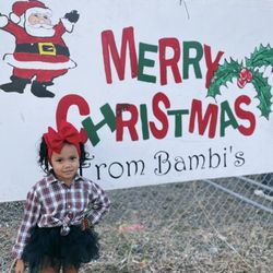 Bambi's Christmas Tree Land - Bambi's Christmas Tree Land
