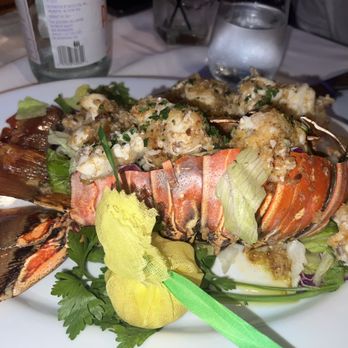 Vito's Chop House - Colossal lobster - Italian Near Me - Orlando, Florida Vito's Chop House - Colossal lobster - Italian Near Me - Orlando, Florida