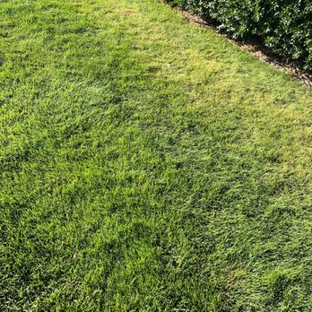 Prince Stump Grinding - They do lawn aeration and fertilization too. - Tree Services Near Me Prince Stump Grinding - They do lawn aeration and fertilization too. - Tree Services Near Me