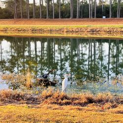 DeVaul Henderson Lake Loop - Two little visitors