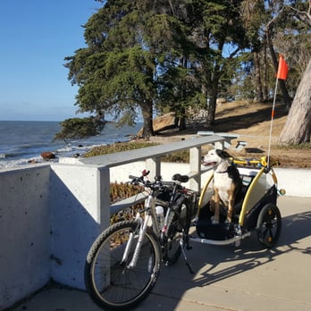 Burley - Burley Honey Bee - Bikes Near Me - Eugene, Oregon