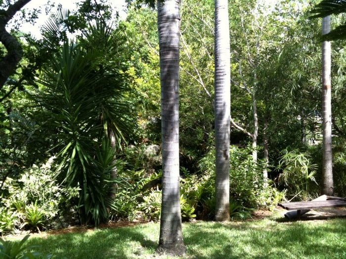 MIAMI-DADE PUBLIC LIBRARY SYSTEM - KEY BISCAYNE BRANCH - Updated ...