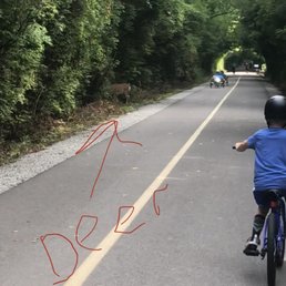 Wide paved trail for running or riding bikes. Wide paved trail for running or riding bikes.