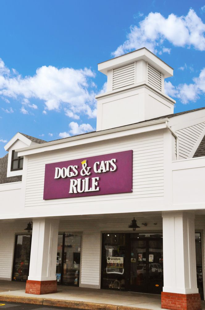 DOGS & CATS RULE Updated September 2024 15 Reviews 2814 S Eagle