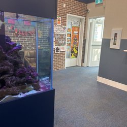 Clever Daycare - Glamorgan - Beautiful Clever Daycare Lobby