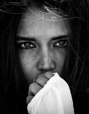 New York Institute of Photography by null