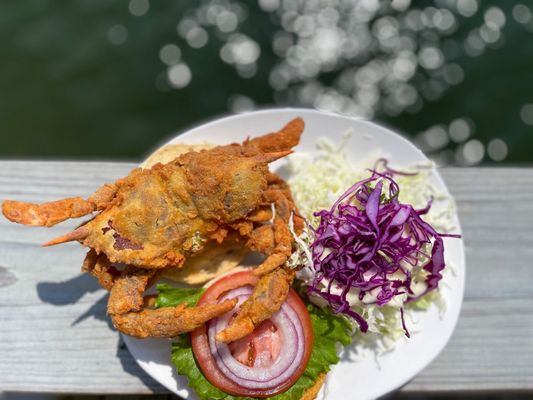 Bubba's Seafood Restaurant and Crabhouse by null
