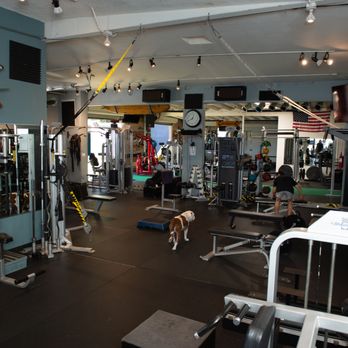 Fitness Authority - Trainers Near Me - Costa Mesa, California Fitness Authority - Trainers Near Me - Costa Mesa, California