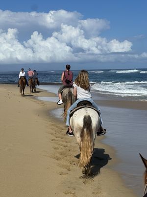 Tropical Trail Rides by null