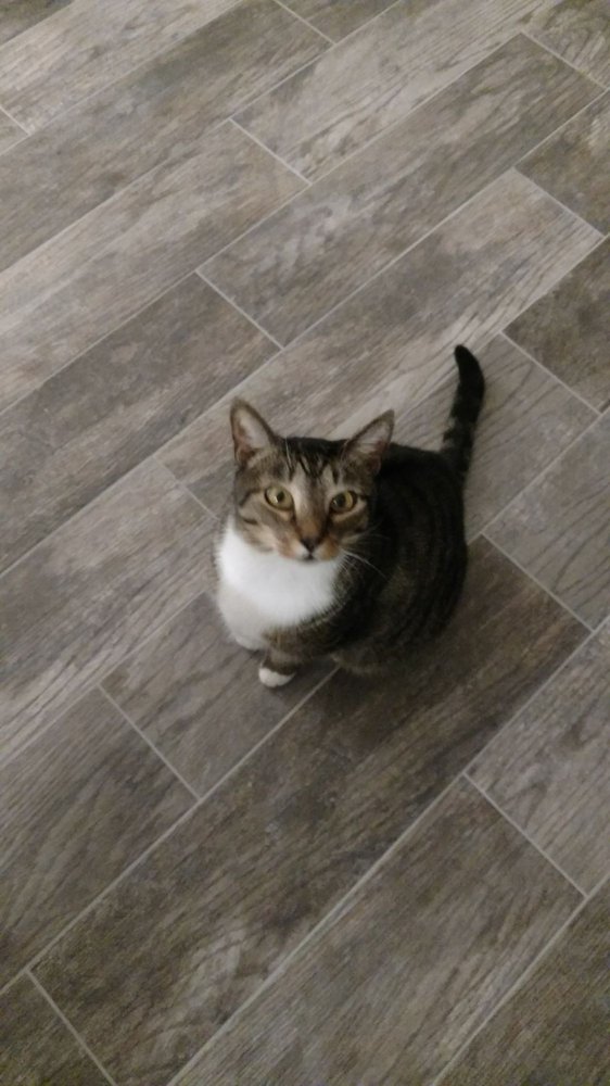 WHOLE EARTH PET SUPPLY Updated September 2024 17860 SE 109th Ave