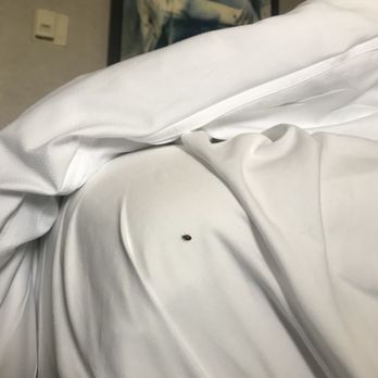 Crystal Gateway Marriott - BED BUG IN BED - Hotels Near Me - Arlington, Virginia Crystal Gateway Marriott - BED BUG IN BED - Hotels Near Me - Arlington, Virginia