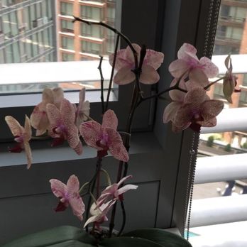 New York City Best Movers Manhattan Moving Company 13 Reviews Movers 2 W 86th St New York Ny Phone Number Yelp