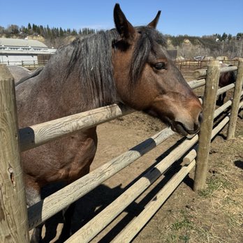 Fort Edmonton Park - Parks Near Me - Edmonton, Alberta