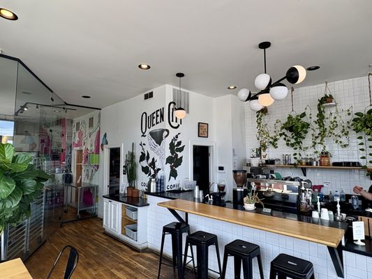 Queen City Collective Coffee by null