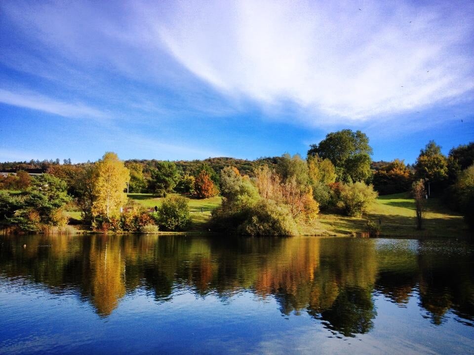 Irchelpark