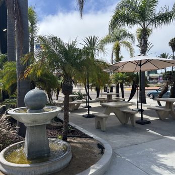 Tierra Mia Coffee - This is the outside fountain and part of the seating area. - Coffee & Tea Near Me - Oceanside, California Tierra Mia Coffee - This is the outside fountain and part of the seating area. - Coffee & Tea Near Me - Oceanside, California