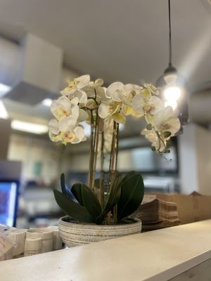 Banh Mi Station by null